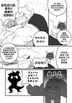 Killer Whale & Niterite 3