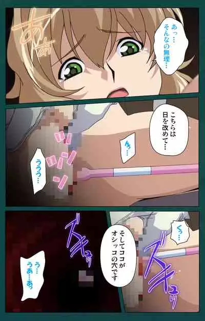 Kanin Tokkyuu Michishio kanzenhan