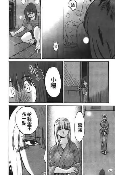 hirugao | 白日之顏