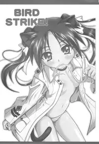 (C77) [Terra Drive (Teira)] Bird Strike! (Strike Witches)
