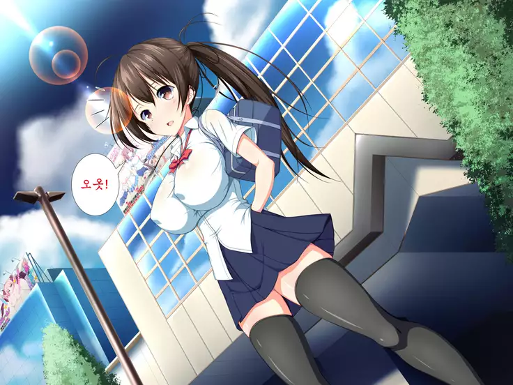 Inran Virus ~Seikoui wa Iryoukoui~ <팀 혼파망>