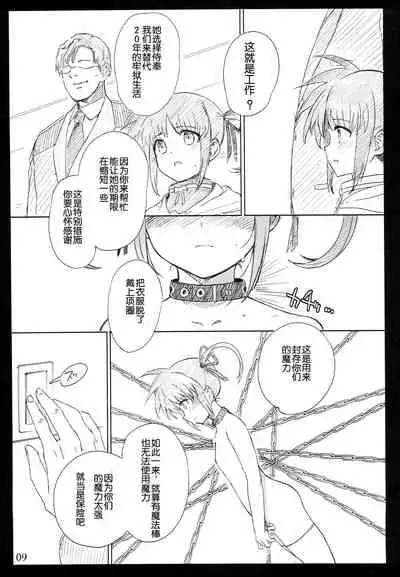 SICOSICO COLLECTION 01