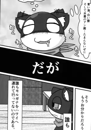 Do You Like Morgana.