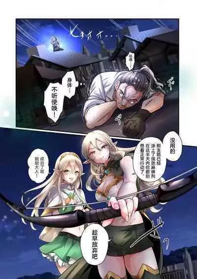 Touzoku, Elf o Nusumu