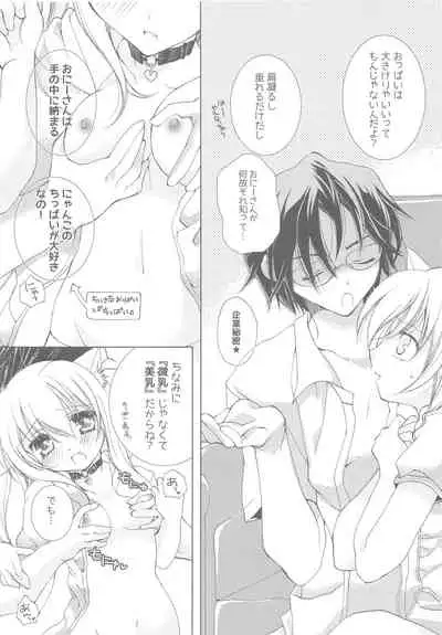 Onii-san to Nyanko Soushuuhen