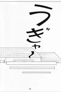 (CR28) [Nirvana Soft (HIRONII, SINN)] LIGHTNING CRASH (AIR)