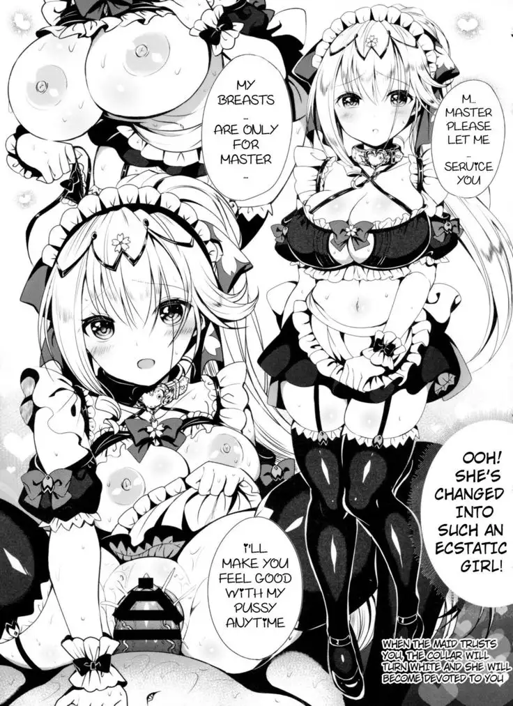 Himekishi o Maid ni Shimasu! Taikenban!