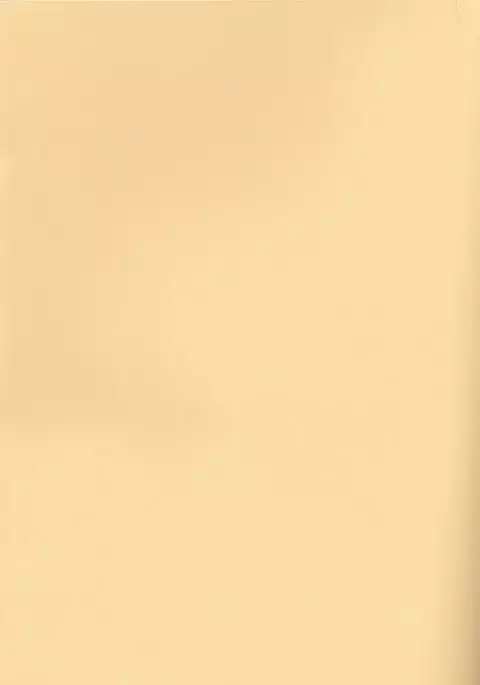 Shitsuren Metamorphose