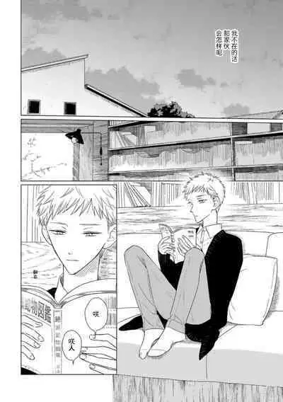 Can't Help Fall in Love