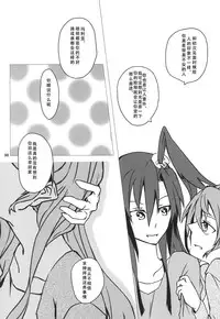 (C85) [HB (Futoo)] Wunsch (Senki Zesshou Symphogear) [Chinese] [假良假影个人汉化]