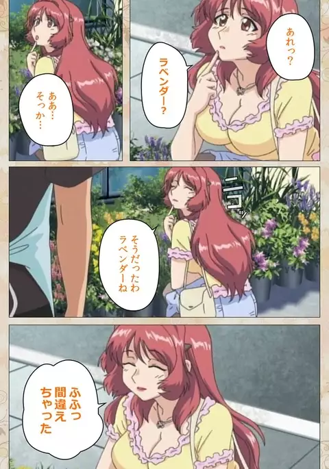 Aniyome wa Ijippari #01 Complete Ban