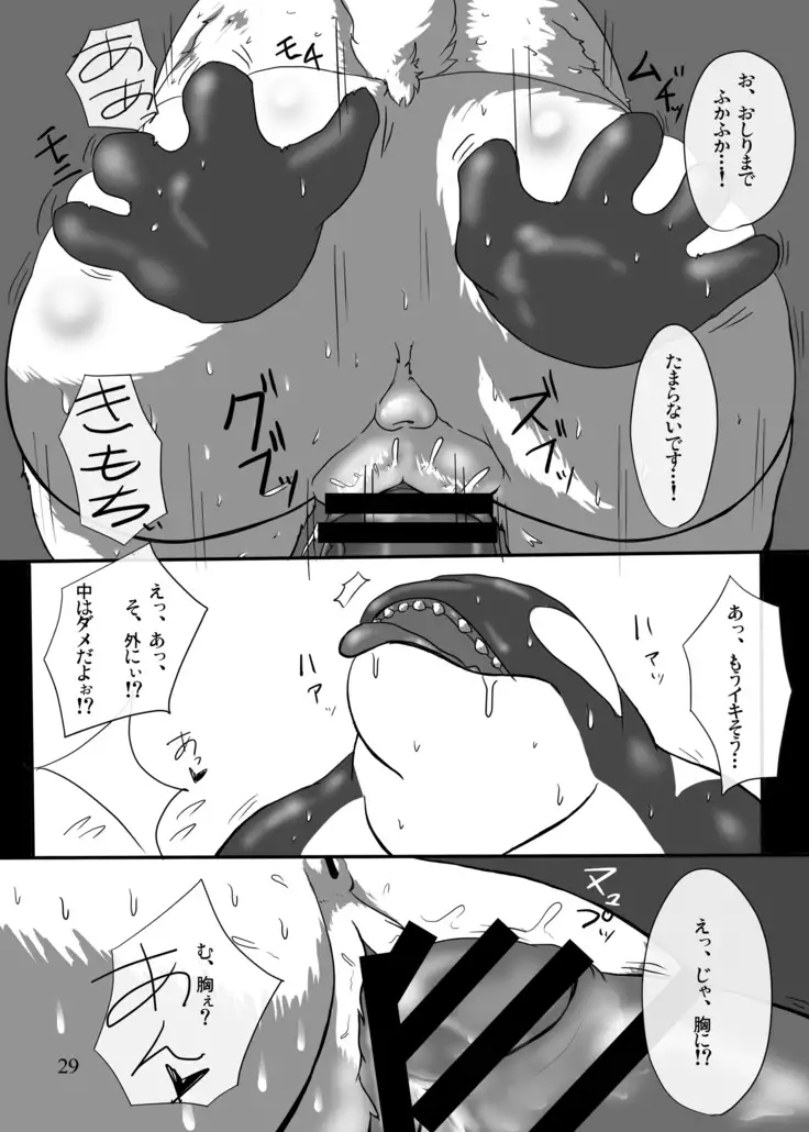 I Love The Chubby Cat