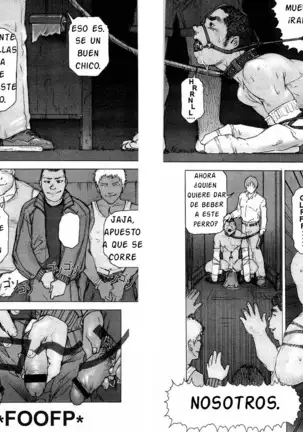 Kai Makoto Training Dog