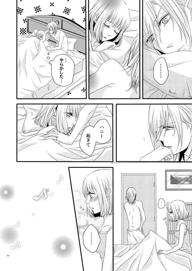 [OCELOT phalaenopsis