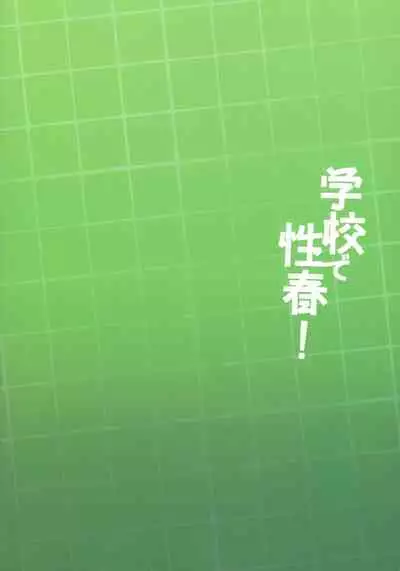 Gakko de seishun! 1 - 17 + Bangai