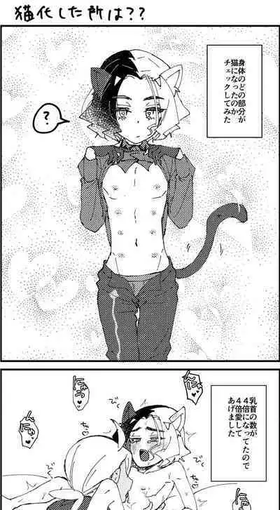 Ame ga Neko ni Narimashite