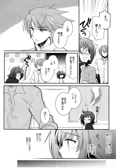 Valentine Boost Sairoku