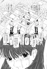 Ayla Deluxe - Vol.16