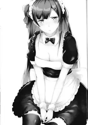 Maid WA2000