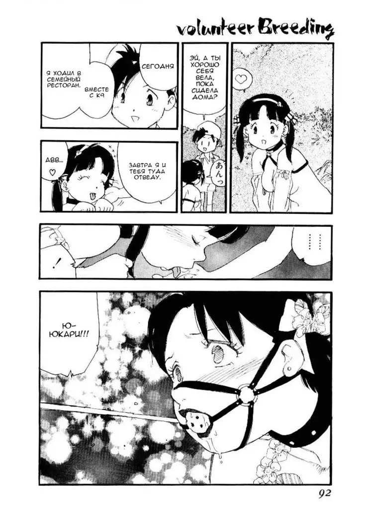 Volunteer Breeding Ch.5
