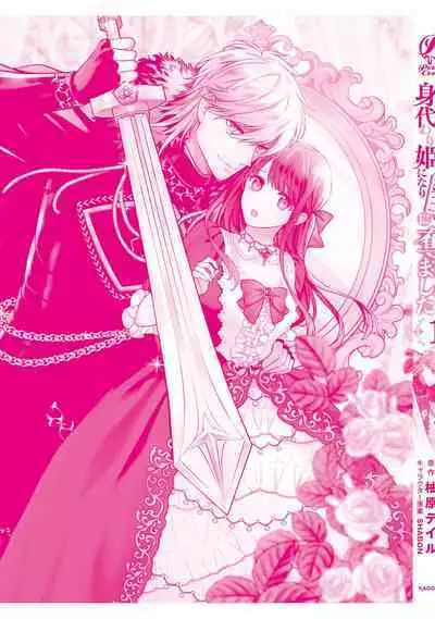 i sekai de migawari hime ni nari haō ni ubawa remashita ​| 在异世界成为了替身公主被霸王掳走了 1-6