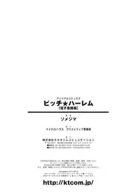 [Somejima] Bitch★Harem [English] [Digital]