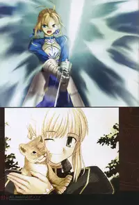 [Type-Moon] Fate/complete material I - Art material.