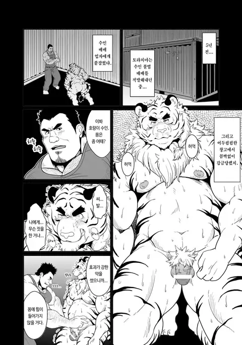 Toradorei -KEMONO Company 2- | 호랑이 노예 -KEMONO 컴퍼니 2- .