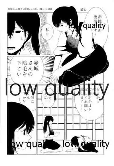 ソリコレ 艦娘剃毛合同