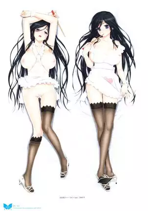 八宝備仁画集 紅蝶（ほてり）