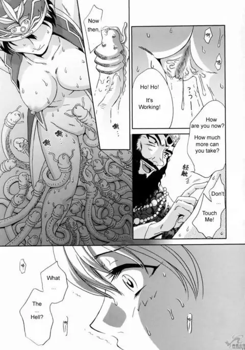 In Sangoku Musou Rikuson Gaiden