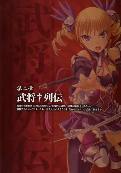 Shin Koihime Musou -Otome Ryouran Sangokushi Engi- Perfect Visual Book