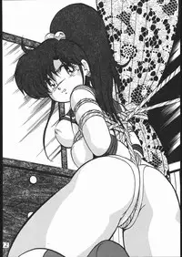 (C55) [Studio Z-AGNAM (Wing Bird)] DOGAKOMUSUME EX BOMBER MOON (Sailor Moon)