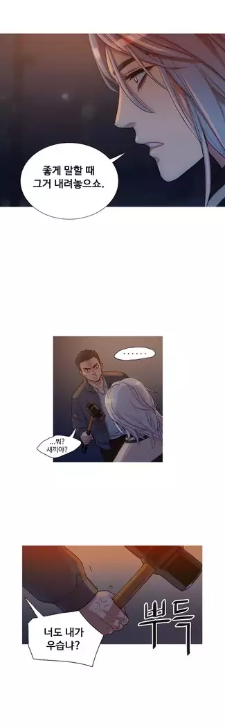 Scandal of the Witch Ch.0-29