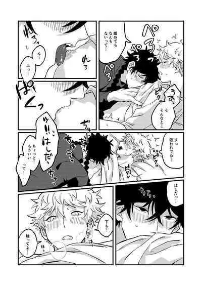 Sukide sukide shouganai