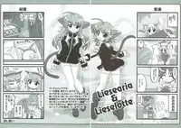 (C80) [Marchen Box (Various)] Nano Para 9 (Mahou Shoujo Lyrical Nanoha)