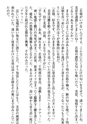 年上メイドの新婚日記
