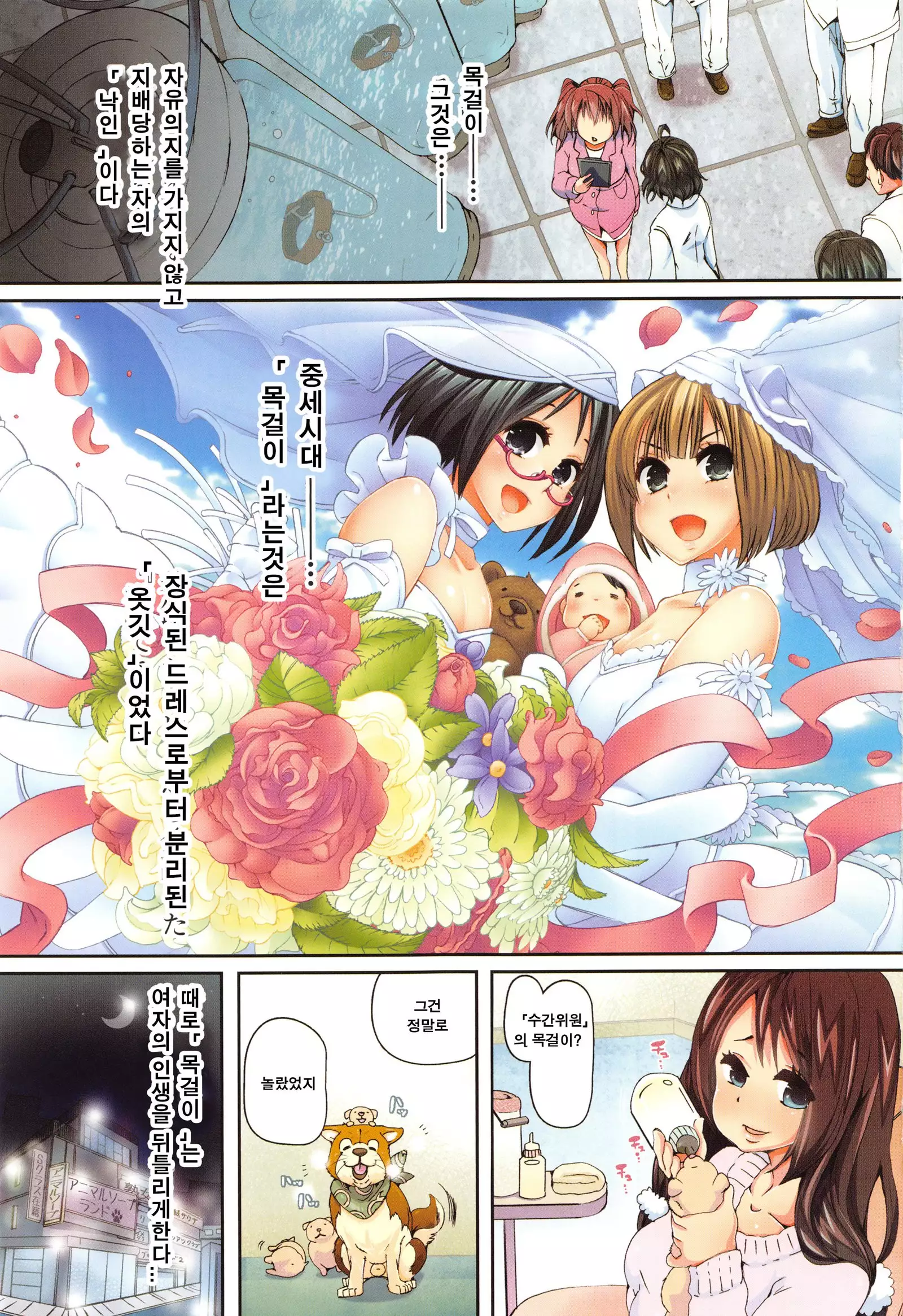 Juukan Kyoushitsu - Bestiality Class