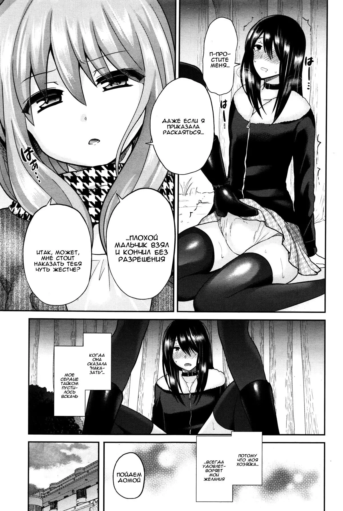 Domestic Dog | Домашняя Собаука