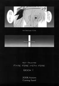 (C74) [Dieppe Factory (Alpine)] FATE FIRE WITH FIRE (Mahou Shoujo Lyrical Nanoha)