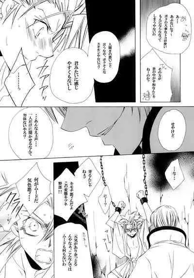 AISIRO Soushuuhen II