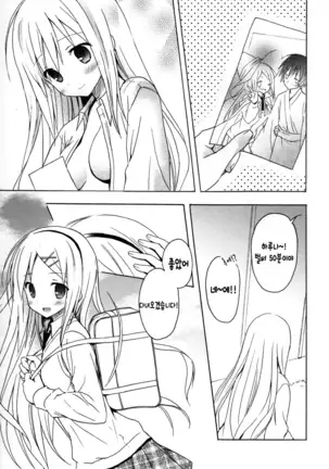 Candy Puff Shokai Genteiban + Mini Gashuu