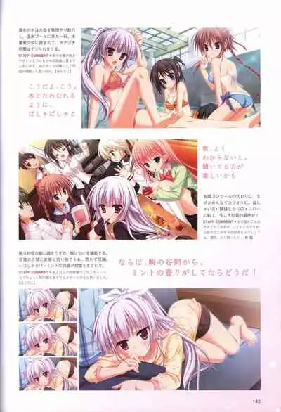 Hatsuyuki Sakura Visual Fanbook