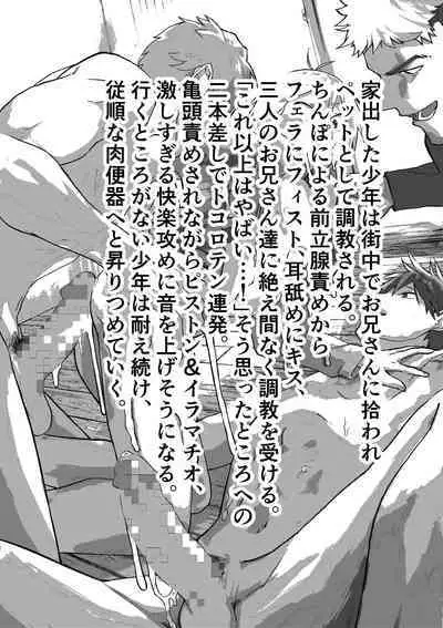 Iede Shounen Anaru Choukyou Niku Benki