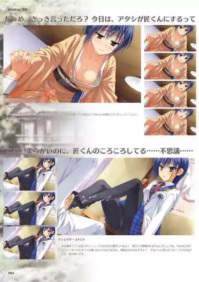 NobleWorks Official Visual Fanbook