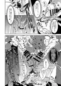 Futanari Zelda Soushuuhen