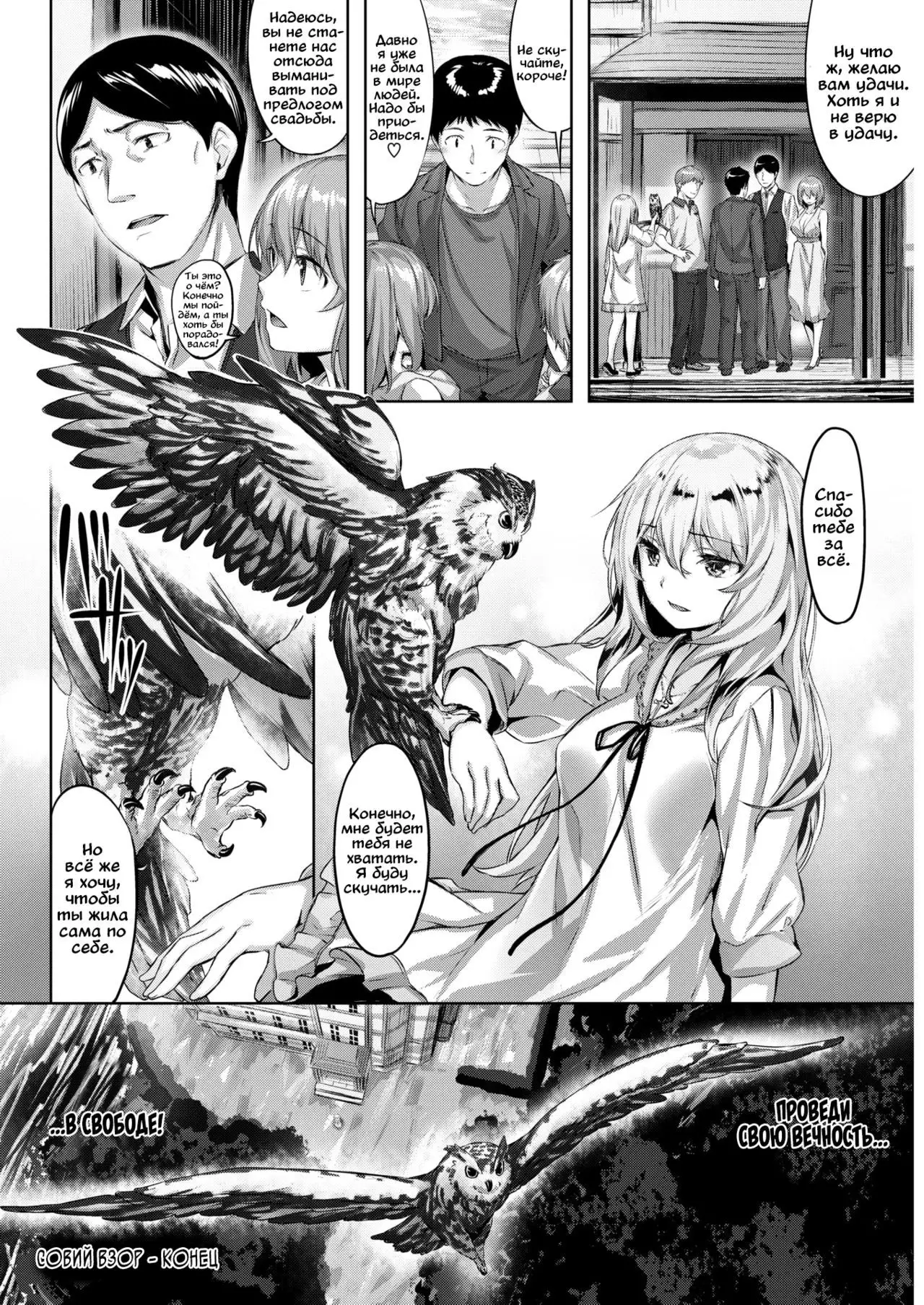 Fukurou no Mabataki | Совий взор