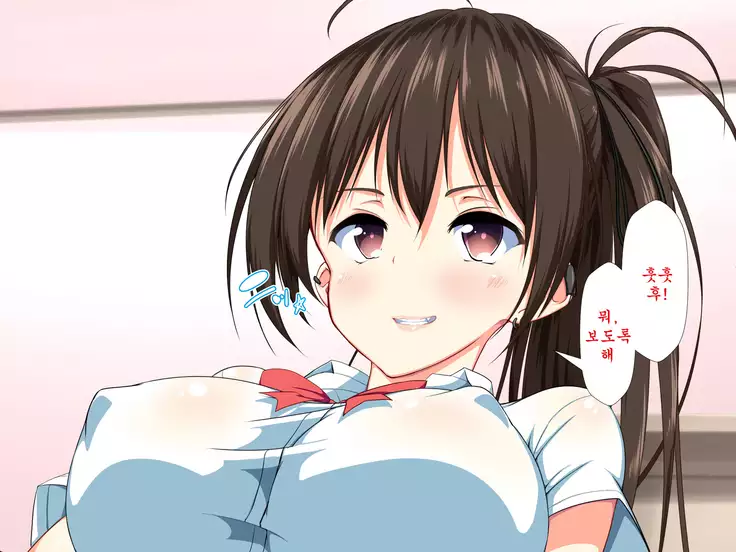 Inran Virus ~Seikoui wa Iryoukoui~ <팀 혼파망>