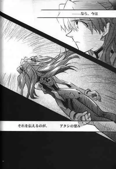 <Shinyaku> neon genesis document G