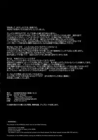 (C88) [NANIMOSHINAI (Sasamori Tomoe)] Succubus Stayed Life 2